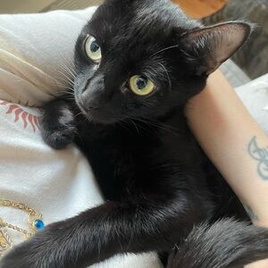 Meet your Posher, Ashley